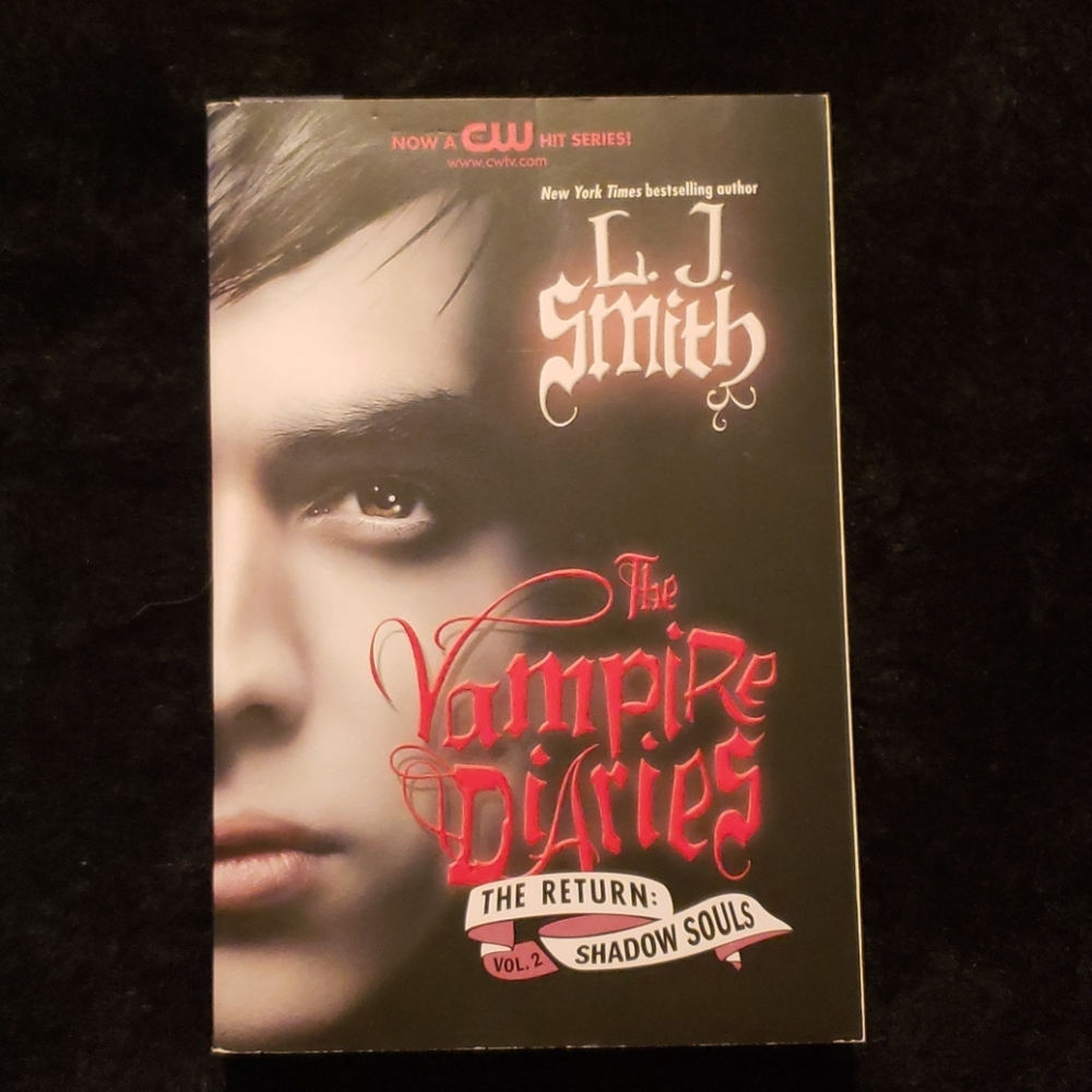 The Vampire Diaries The Return book series - Picture 4 of 7